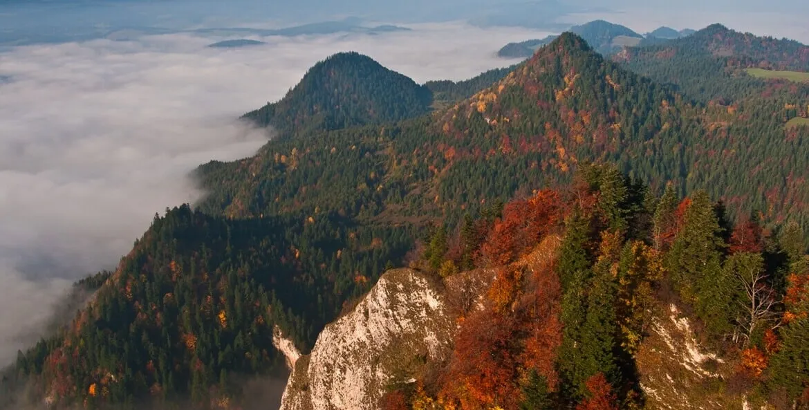 PIENIŃSKA ZŁOTA JESIEŃ